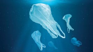 Nat geo capta el clamor del oceano