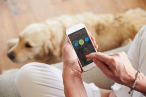5 apps para compartir con tu perro