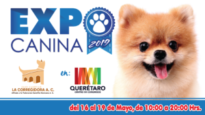Ya se acerca la expo canina