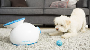 Los 3 juguetes que debe tener tu mascota