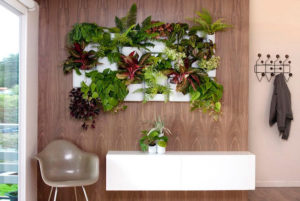 IDEAS PARA TENER UN MINI JARDÍN EN CASA