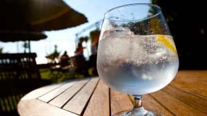 EL GRAN BENEFICIO DE PREPARAR AGUA TÓNICA EN CASA