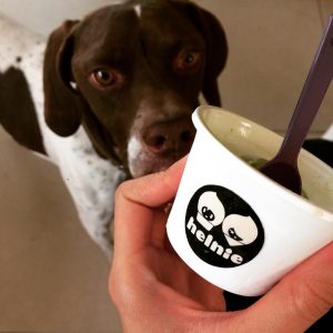 EN ESTE LUGAR DE QUERÉTARO TIENEN HELADO PARA PERRO