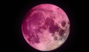 TE DECIMOS POR QUÉ SE LLAMA LUNA ROSA DE ABRIL Y QUÉ NOCHE PODRÁS VERLA