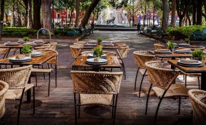 LUGARES  IMPERDIBLES DE COYOACÁN