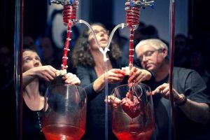 “MEMENTO MORI”, LA NUEVA EXPOSICIÓN EN EL MACQ