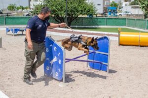 HAY UN NUEVO PARQUE PARA PERROS EN QUERÉTARO
