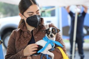 ¿TIENES PERROS? YA PUEDES IR A LA ESCUELA DE DUEÑAS Y DUEÑOS DE 10
