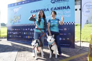 YA VIENEN LA TERCERA CARRERA CANINA P-RUN 2023