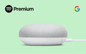 spotify family plan google home mini