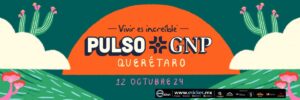 PULSO GNP 2024