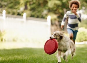 CONVIVIR CON UN PERRITO DURANTE LA NIÑEZ REDUCE EL RIESGO DE PADECER ALGUNA ENFERMEDAD MENTAL