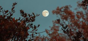 LUNA AZUL EN HALLOWEEN: ESTOS SON LOS FENÓMENOS ASTROLÓGICOS QUE SUCEDERÁN DURANTE EL OTOÑO
