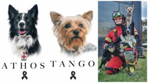 INICIÓ EL JUICIO POR EL ASESINATO DE ATHOS Y TANGO EN QUERÉTARO