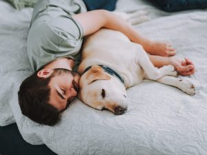 DUERMES CON TU PERRO? ¡DEBES LEER ESTO!