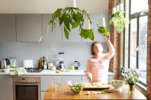 COSECHA TUS VERDURAS EN CASA